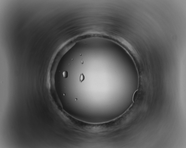 X0000094920791200712061108