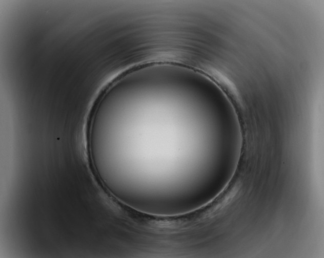 X0000094920792200712061108