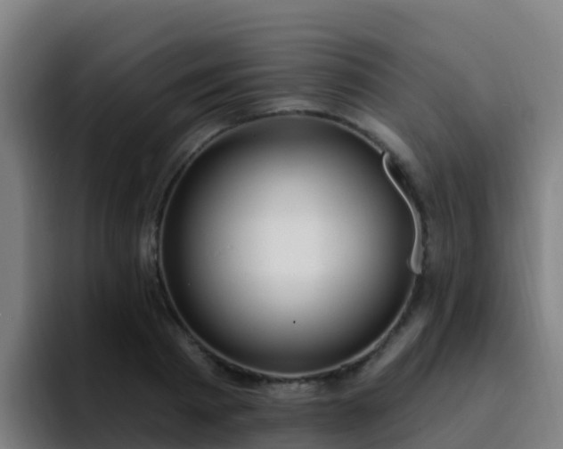 X0000094920793200712061108