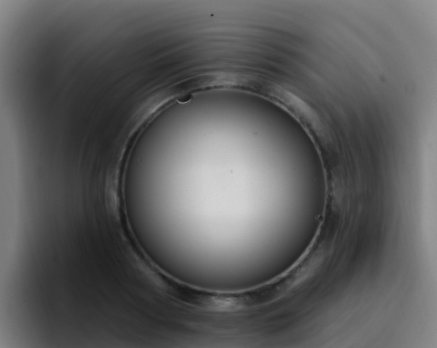 X0000094920794200712061108