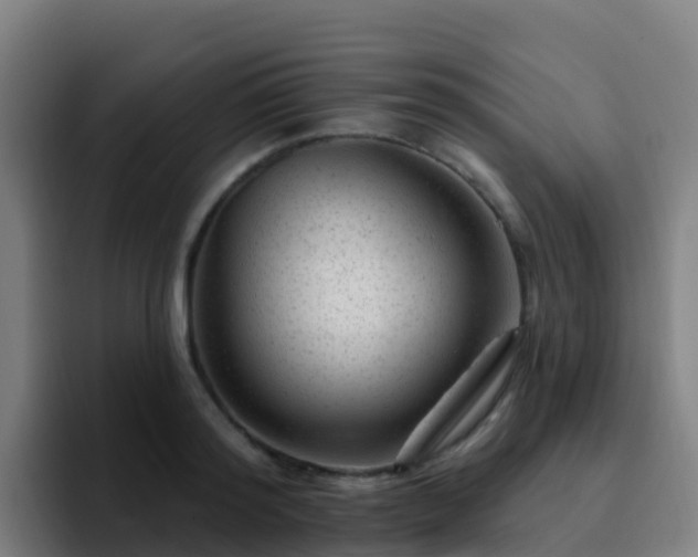 X0000094920796200712061108