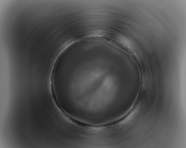 X0000094920802200712061108