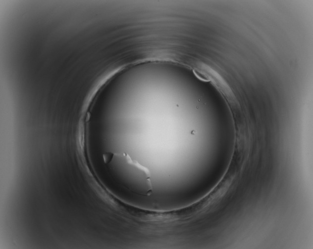 X0000094920804200712061108