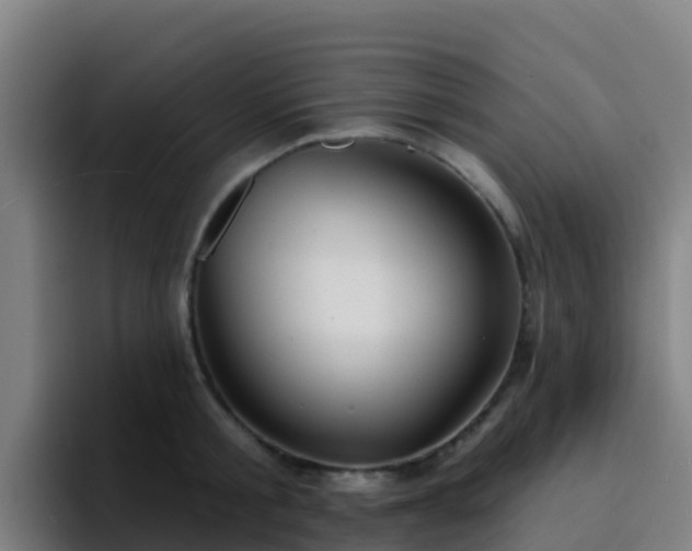 X0000094920805200712061108