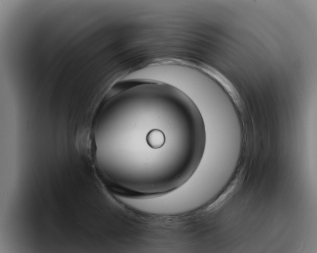 X0000094920809200712061108