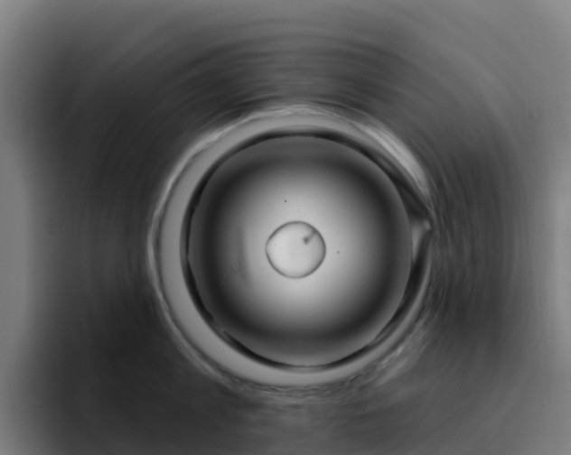 X0000094920813200712061108