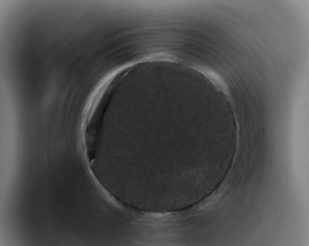 X0000094920816200712061107