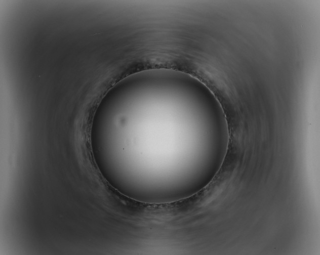 X0000094920817200712061107