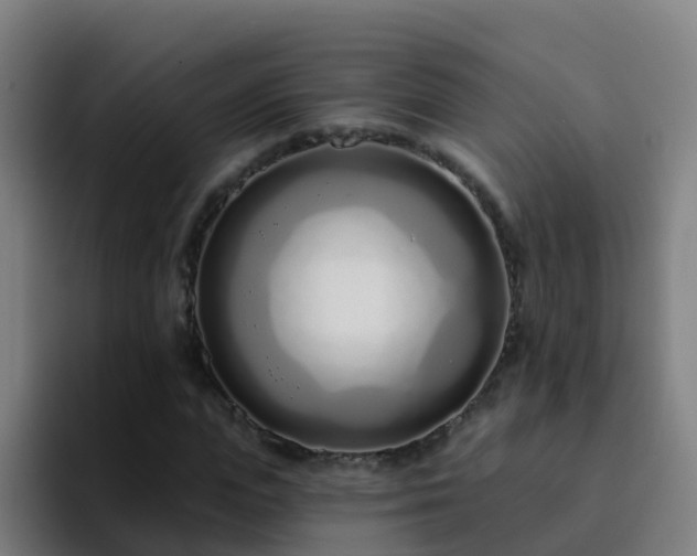 X0000094920823200712061107