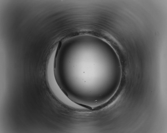 X0000094920825200712061107