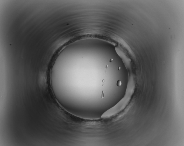 X0000094920826200712061107