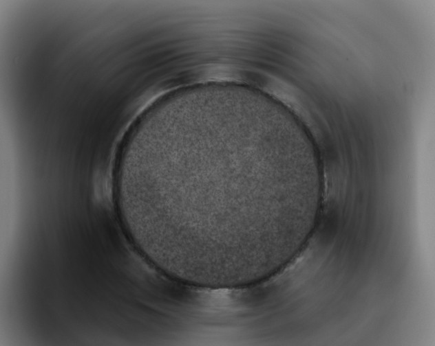 X0000094920828200712061107