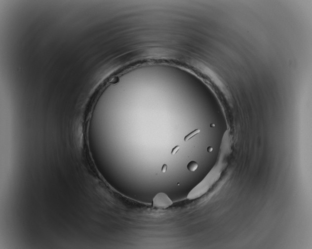 X0000094920829200712061107