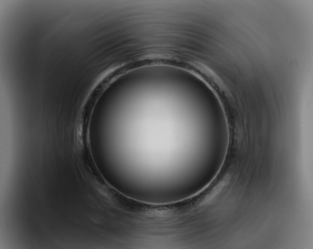 X0000094920830200712061107