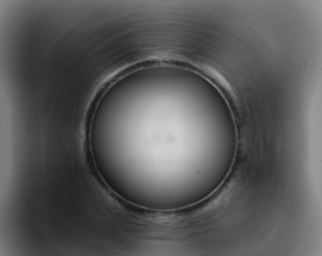 X0000094920831200712061107