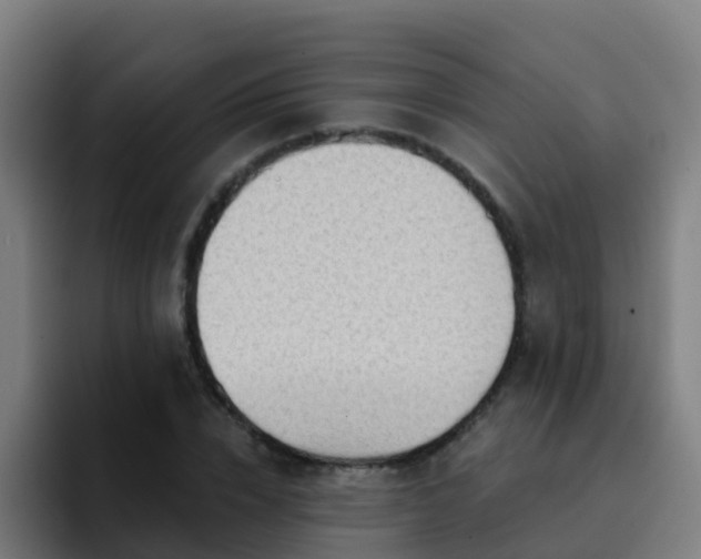 X0000094920832200712061107