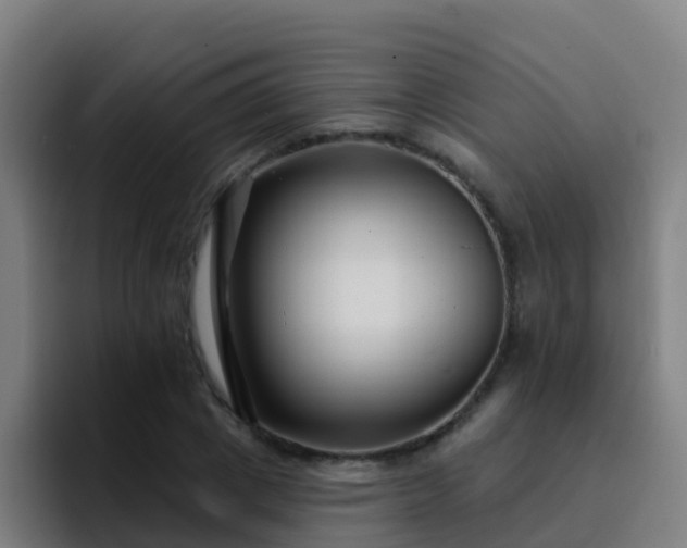 X0000094920833200712061107