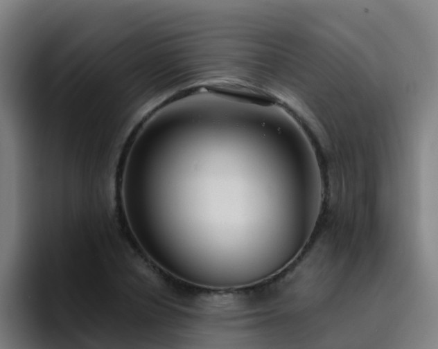 X0000094920834200712061107