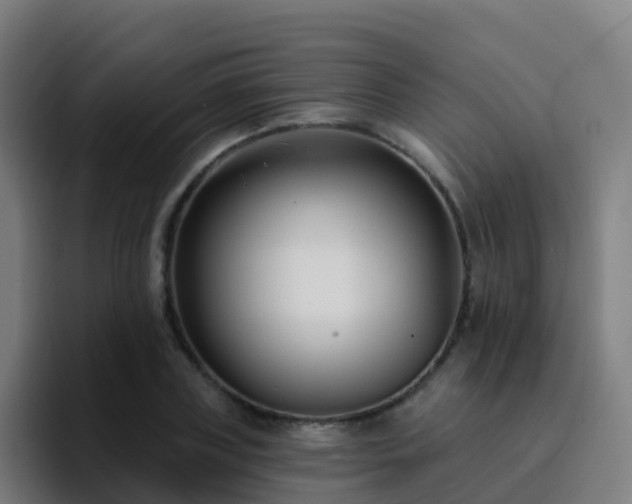 X0000094920835200712061107