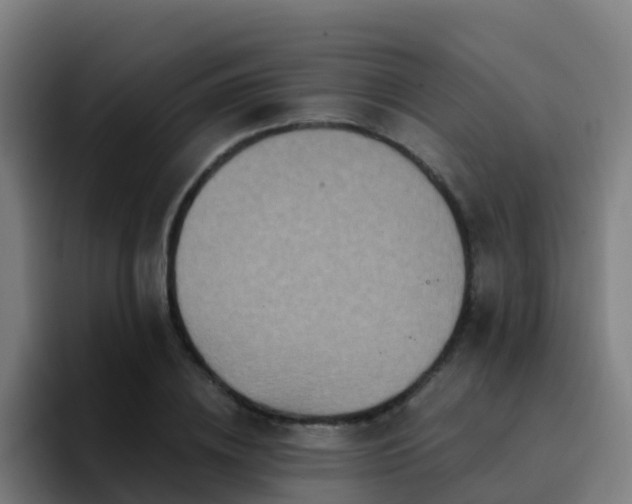 X0000094920836200712061107