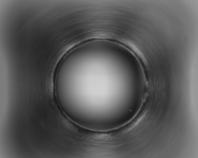 X0000094920837200712061107