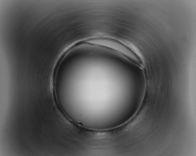 X0000094920839200712061107