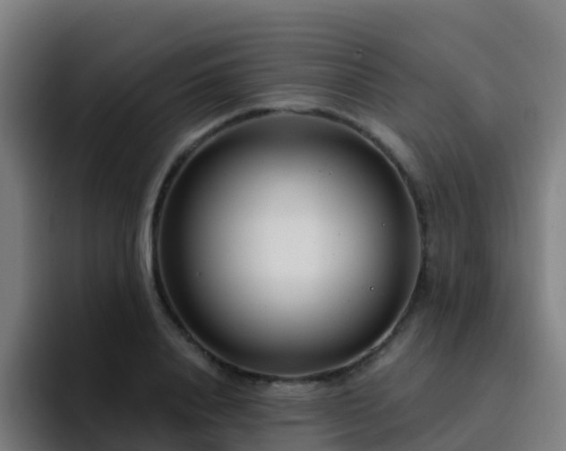 X0000094920840200712061107