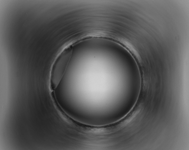 X0000094920845200712061107