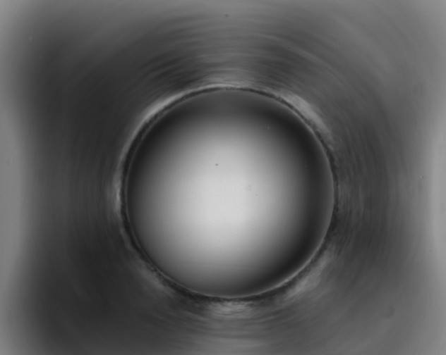 X0000094920846200712061107