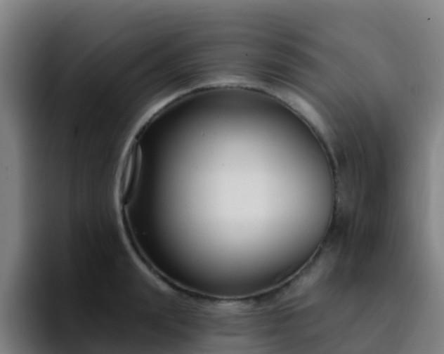 X0000094920847200712061107