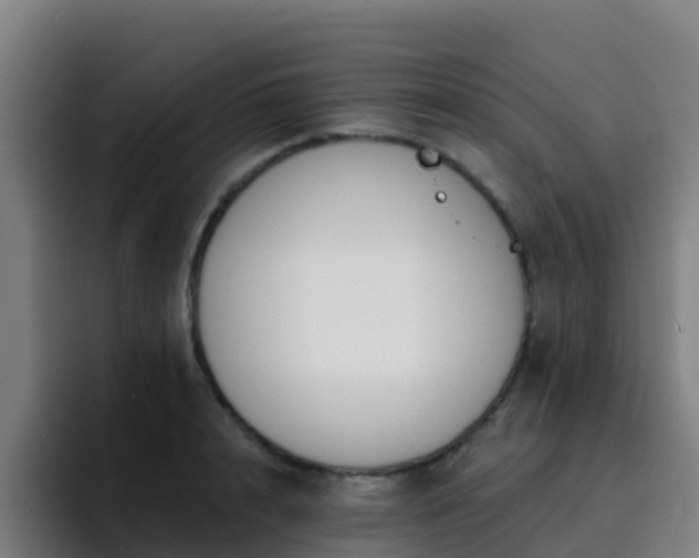 X0000094920848200712061107