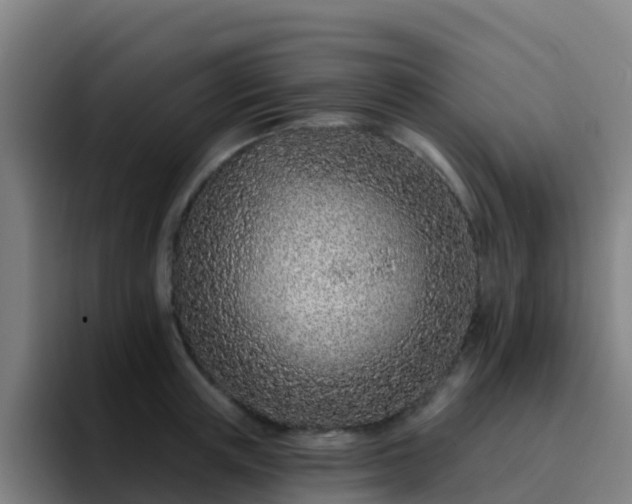 X0000094920851200712061107