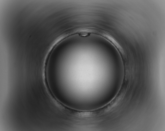 X0000094920853200712061107