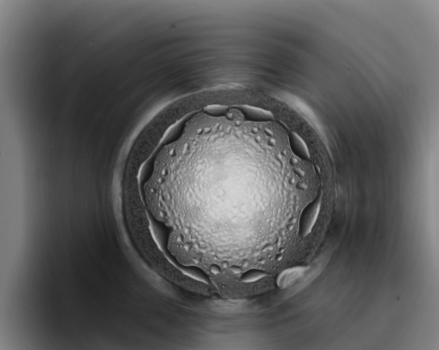 X0000094920859200712061107