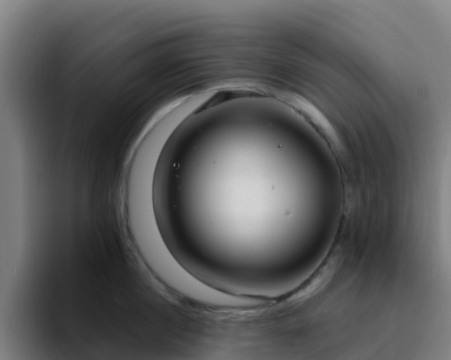 X0000094920860200712061107