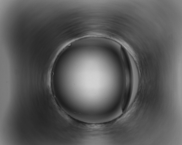 X0000094920862200712061107