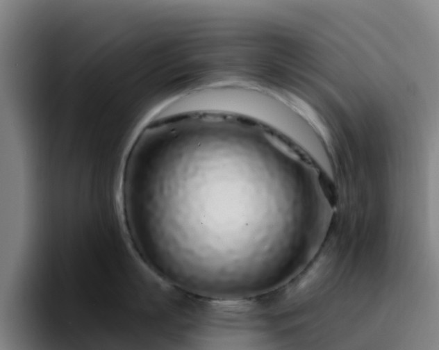 X0000094920863200712061107