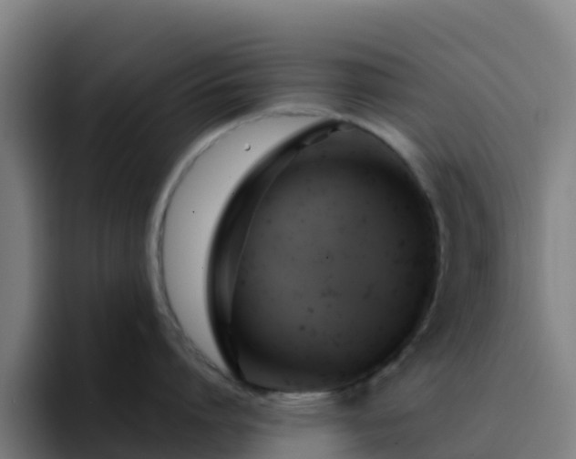 X0000094920864200712061107