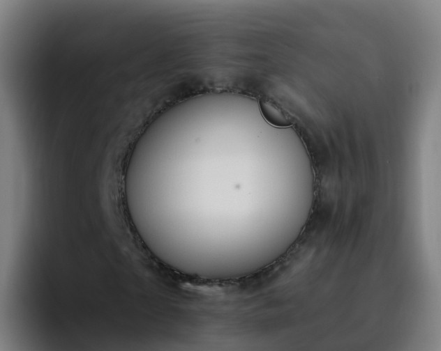 X0000094920865200712061107