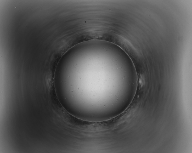 X0000094920867200712061107