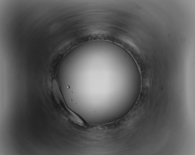 X0000094920869200712061107