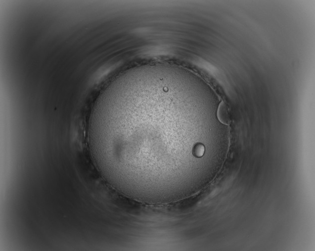 X0000094920871200712061107