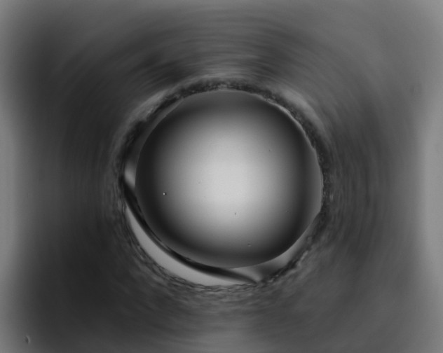 X0000094920872200712061107