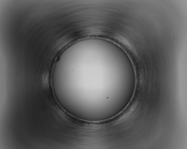 X0000094920873200712061107