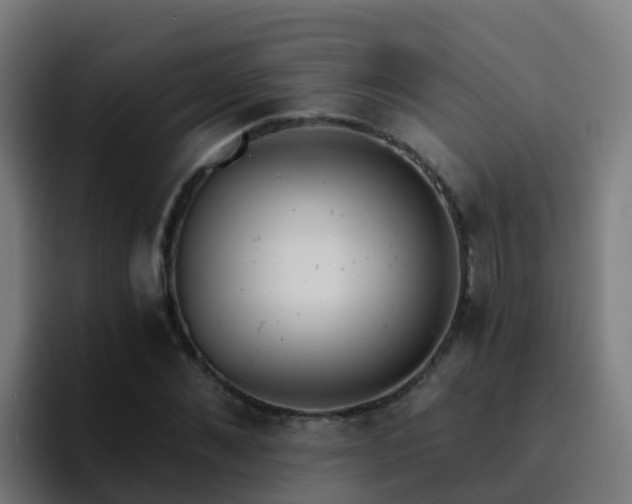 X0000094920876200712061107