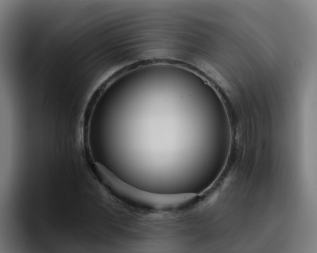 X0000094920877200712061107