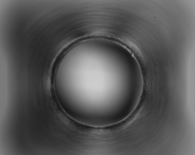 X0000094920880200712061107