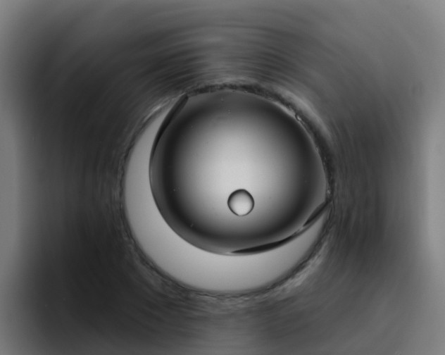 X0000094920881200712061107