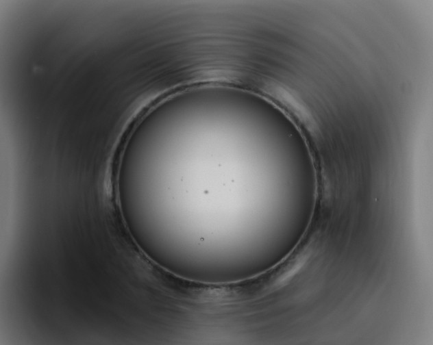 X0000094920883200712061107