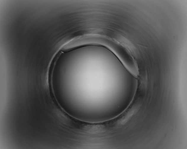 X0000094920884200712061107